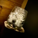 Tölgyes Menedék Apartman