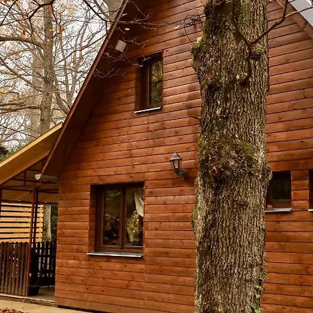 Apartament Toelgyes Menedek