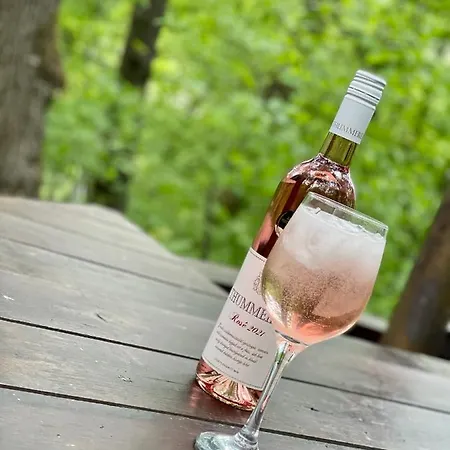 Toelgyes Menedek Apartament *